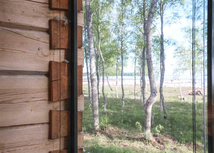 Iisland Usva, Seaside House With Sauna And Jacuzzi Ii