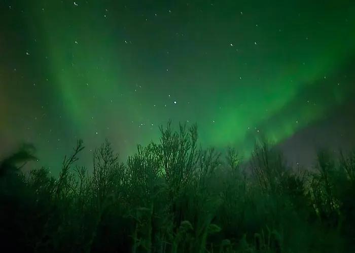 Iisland Usva, Seaside House With Sauna And Jacuzzi Ii